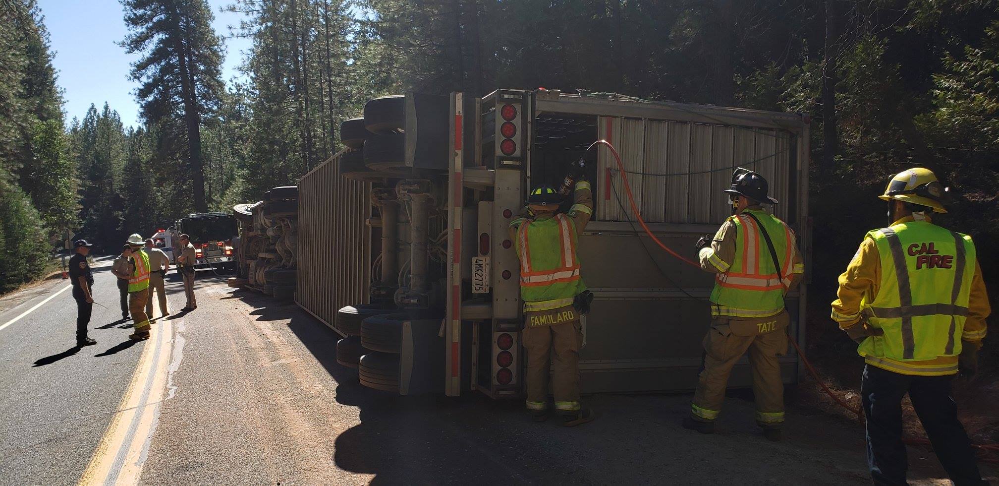 Cattle Truck Overturned Hwy 88