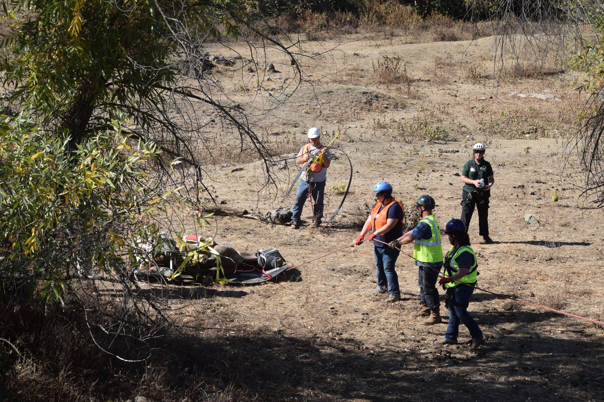 Learning securing large animal for transporting up hill